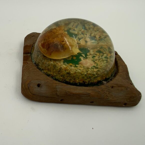 Vintage Domed Paperweight Horseshoe Crab & Shells Cedar Wooden Base - Picture 3 of 7